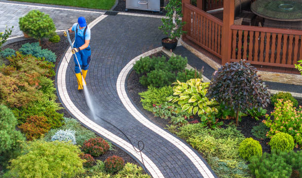 Best Deck Cleaning Services  in USA